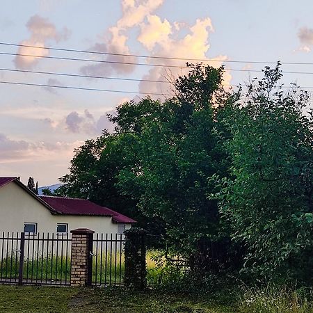 Green Little Cottage Danilovgrad Buitenkant foto